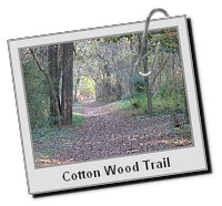 CottonWoodTrail_002.JPG