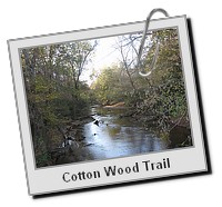 CottonWoodTrail_007.JPG