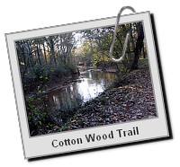 CottonWoodTrail_016.JPG