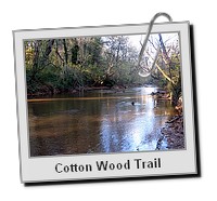 CottonWoodTrail__019.JPG