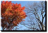 Fall_2010_10_16_200.JPG