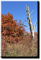 Fall_2010_10_16_212.JPG