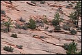 Canyons_2011_189.JPG