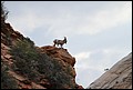 Canyons_2011_191.JPG