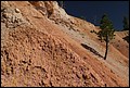 Canyons_2011_706.JPG