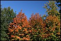 Fall_2011_10_30_004.JPG