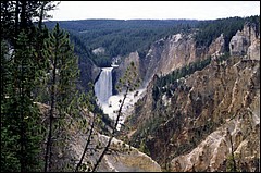 1992_Yellowstone_757.jpg