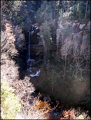 Pisgah_2009_Nov_071.JPG