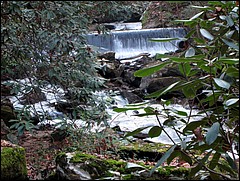 Pisgah_2009_Nov_095.JPG