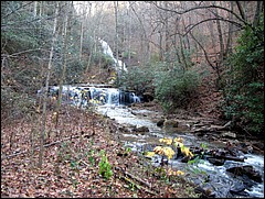 Pisgah_2009_Nov_098.JPG