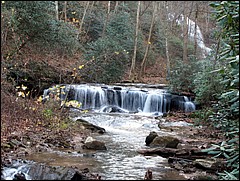 Pisgah_2009_Nov_101.JPG