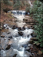 Pisgah_2009_Nov_103.JPG