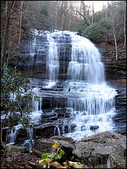 Pisgah_2009_Nov_105.JPG